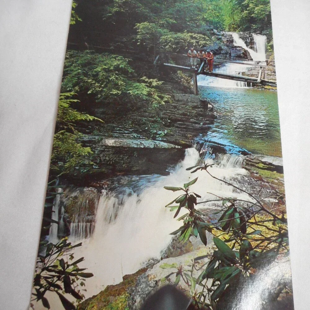Vintage Postcard unposted Winona Five Falls Bushkill, PA 1960s Poconos people